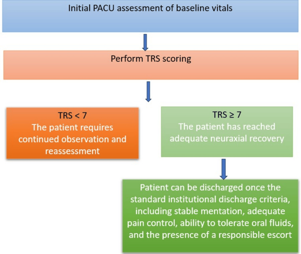 Thoracic Segmental Spinal Anesthesia (TSSA) Recovery Score: A Proposed Tool for Assessing Discharge Readiness After Thoracic Segmental Spinal Anesthesia