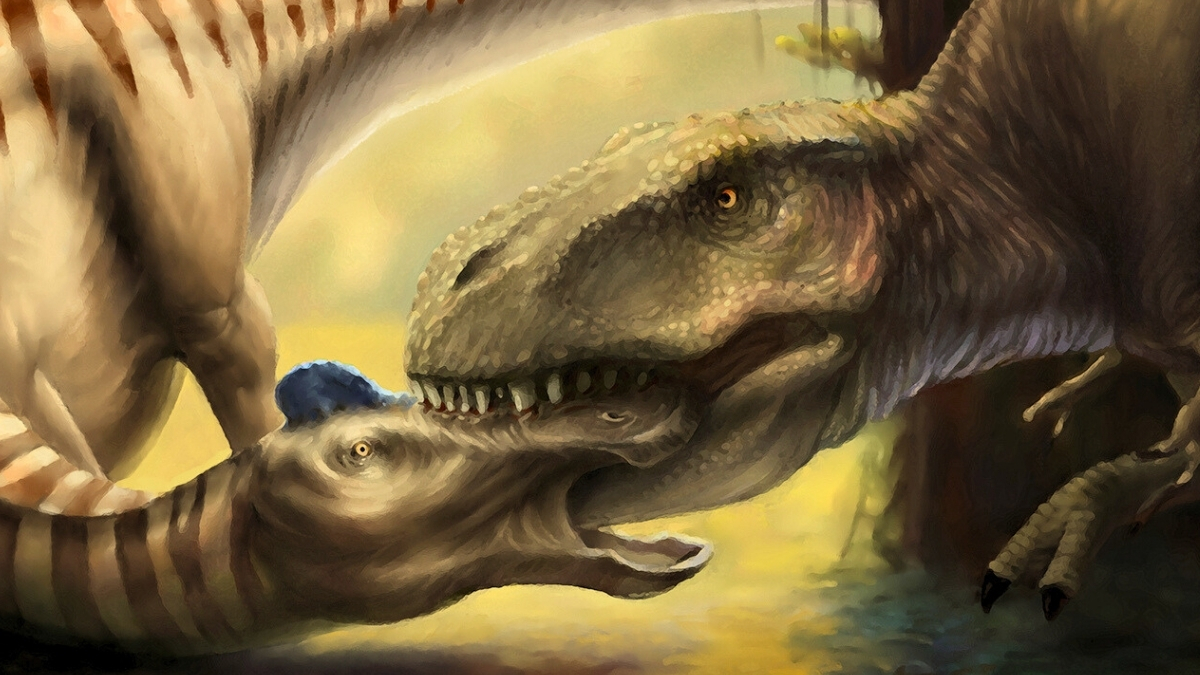 Scientists Found a T. Rex Tooth Embedded in Another Dinosaur's Skull : ScienceAlert