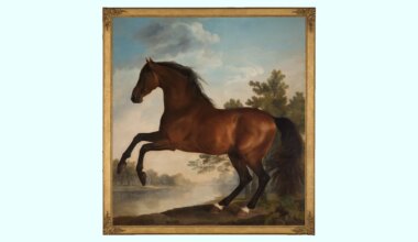 Portrait of a Horse review — this artist was no one-trick pony