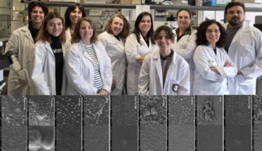 New biodegradable implant design prevents bacterial growth