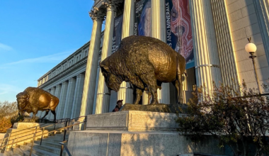 Statues from Northern Colorado foundry find new home at Smithsonian National Museum of Natural History