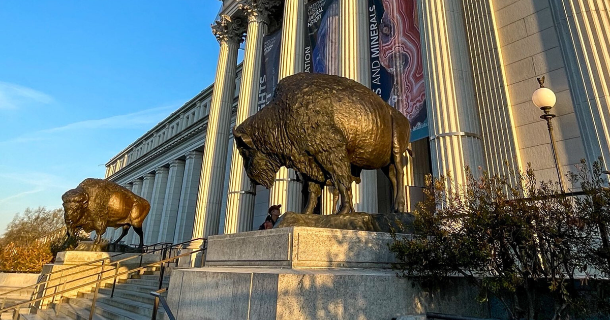 Statues from Northern Colorado foundry find new home at Smithsonian National Museum of Natural History