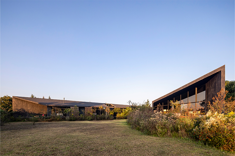 two intersecting volumes of black concrete carve mavra house into the mexican landscape - 6