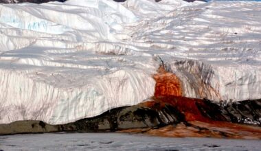 Antarctica Looks Like It’s Bleeding. Scientists Finally Figured Out Why.