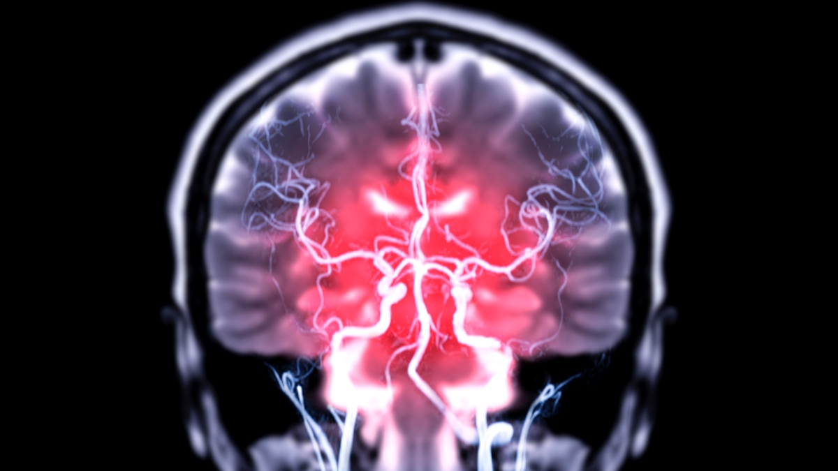 Gut Bacteria May Directly Enter The Brain, Study in Mice Reveals : ScienceAlert