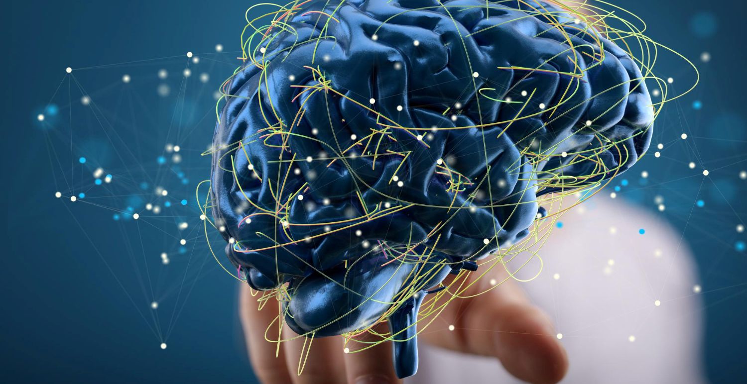 Scientists uncover brain mechanism linked to OCD and mood