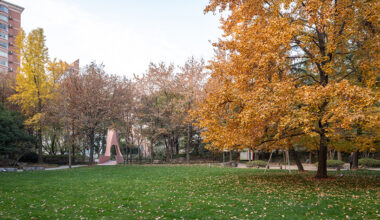 arched pink bridge of happiness revives public park in shanghai