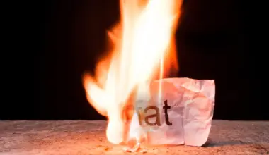 Scientists discover a hidden system that turns brown fat into a calorie burner