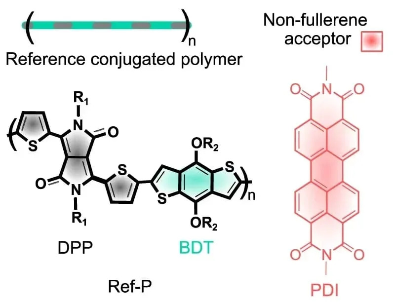 Chemical structure of the donor polymer (Ref-P) and the symmetric and planar non-fullerene acceptor (NFA) unit, perylene diimide (PDI), used in the study. (CREDIT: Nature Communications)