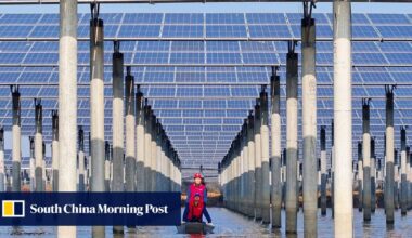 China poised to earn vast profits from global energy transition: analysts