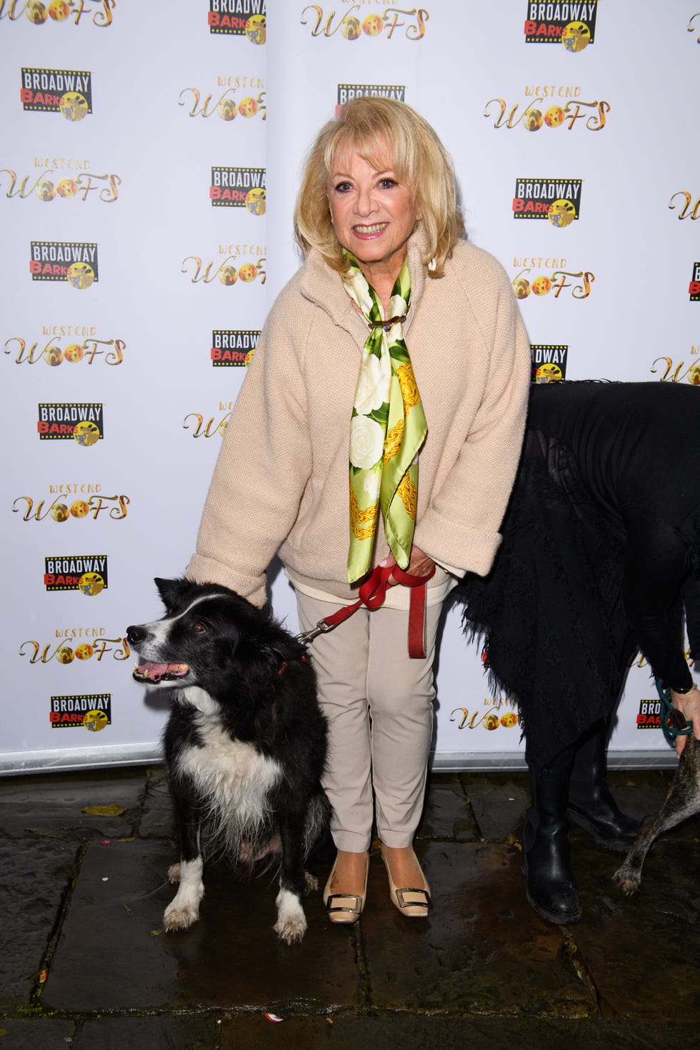 "West End Woofs (And Meows)" 2023 london, england november 18: elaine paige attends west end woofs (and meows) 2023 at st paul’s church on november 18, 2023 in london, england. (photo by joe maher/getty images)