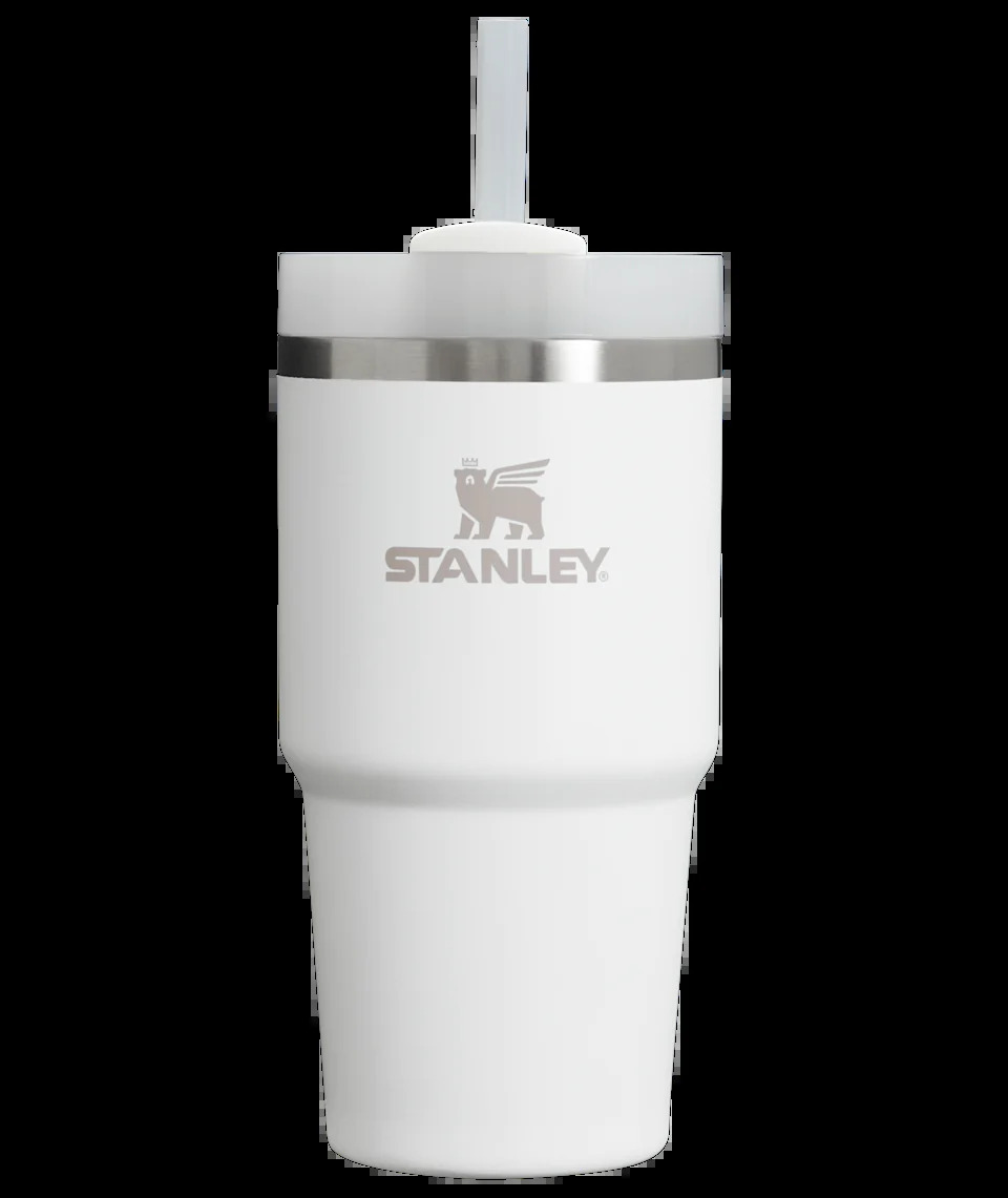 Stanley Quencher H2.0 Flowstate Tumbler 20 -fl oz Stainless steel Insulated Water bottle - FROST
