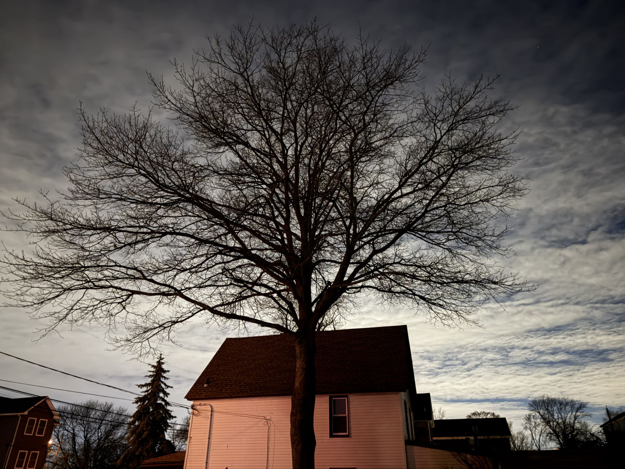 Apple iPhone 17 Pro Max low light sample.