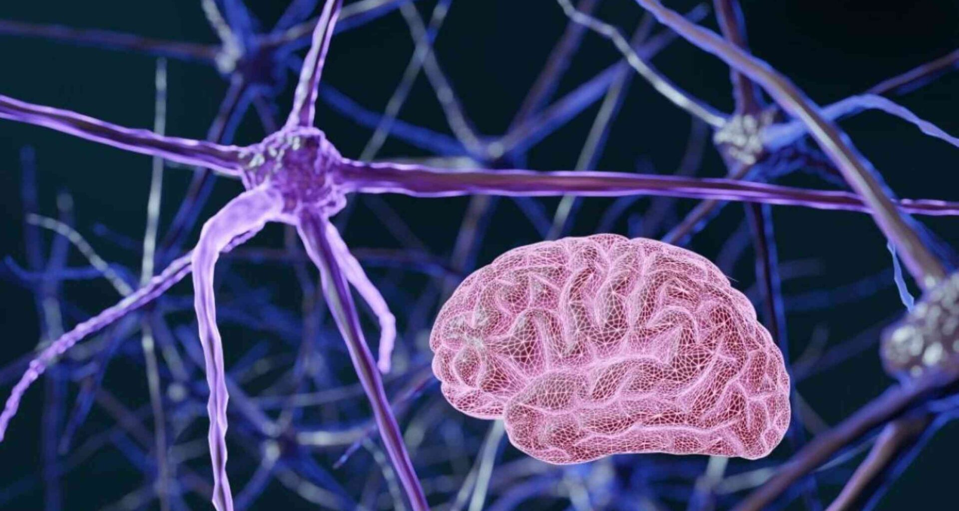 Depression fatigue appears at the cellular level in brain and blood