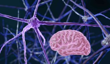 Depression fatigue appears at the cellular level in brain and blood