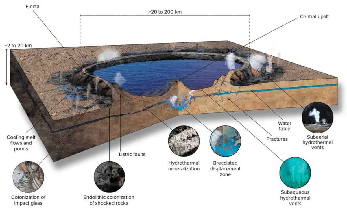  Diagram Of The Hydrothermal Phase Of An Impact Generated Hydrothermal Vent System, Characterized By The Crater Lake And The Active Hydrothermal Vent System