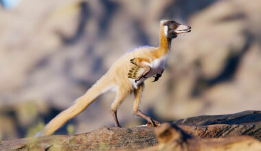 Fossil find reveals how strange bird-like dinosaurs evolved