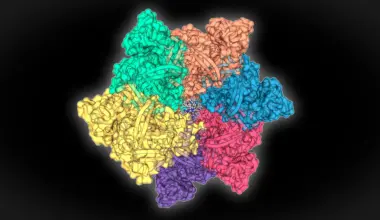 Hidden deep-sea proteins could supercharge disease tests