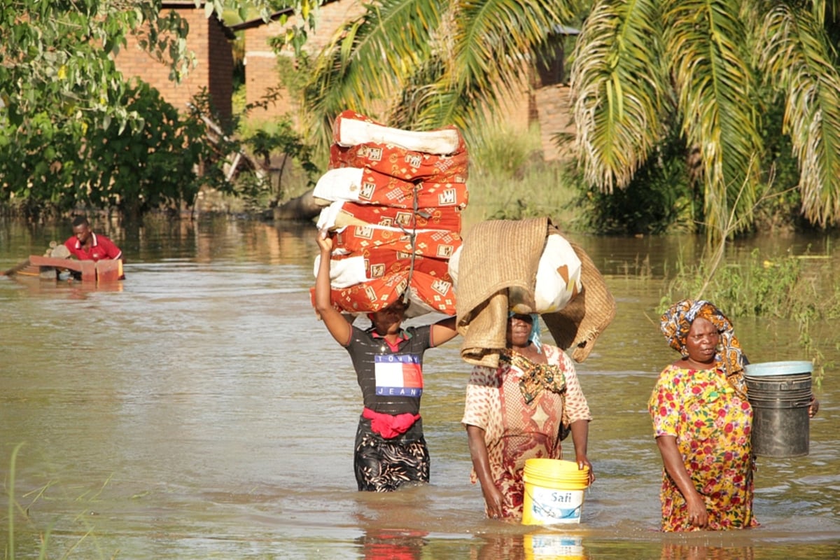 Climate Change Alters Tanzania's Disease Landscape: Rising Health Threats