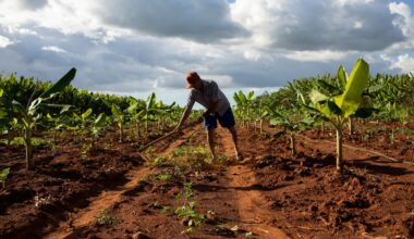 Expedition Vale do Jaguaribe, in Ceará, Brazil. © Nilmar Lage / Greenpeace
