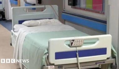 A hospital bed, which has a white pillow and sheet and a pale green blanket.