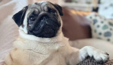 Yahoo lifestyle home