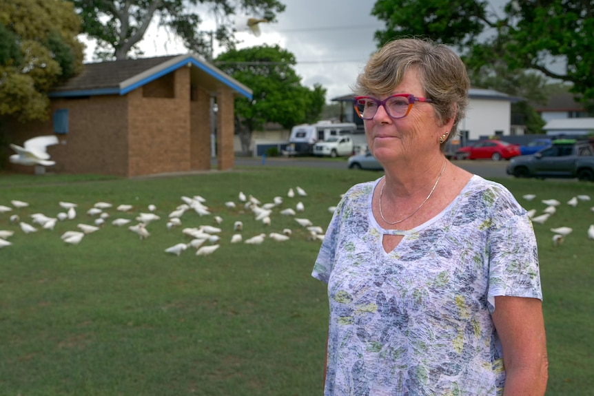 Older woman wearing red glasses stands in public park with seagulls and a toilet block behind her