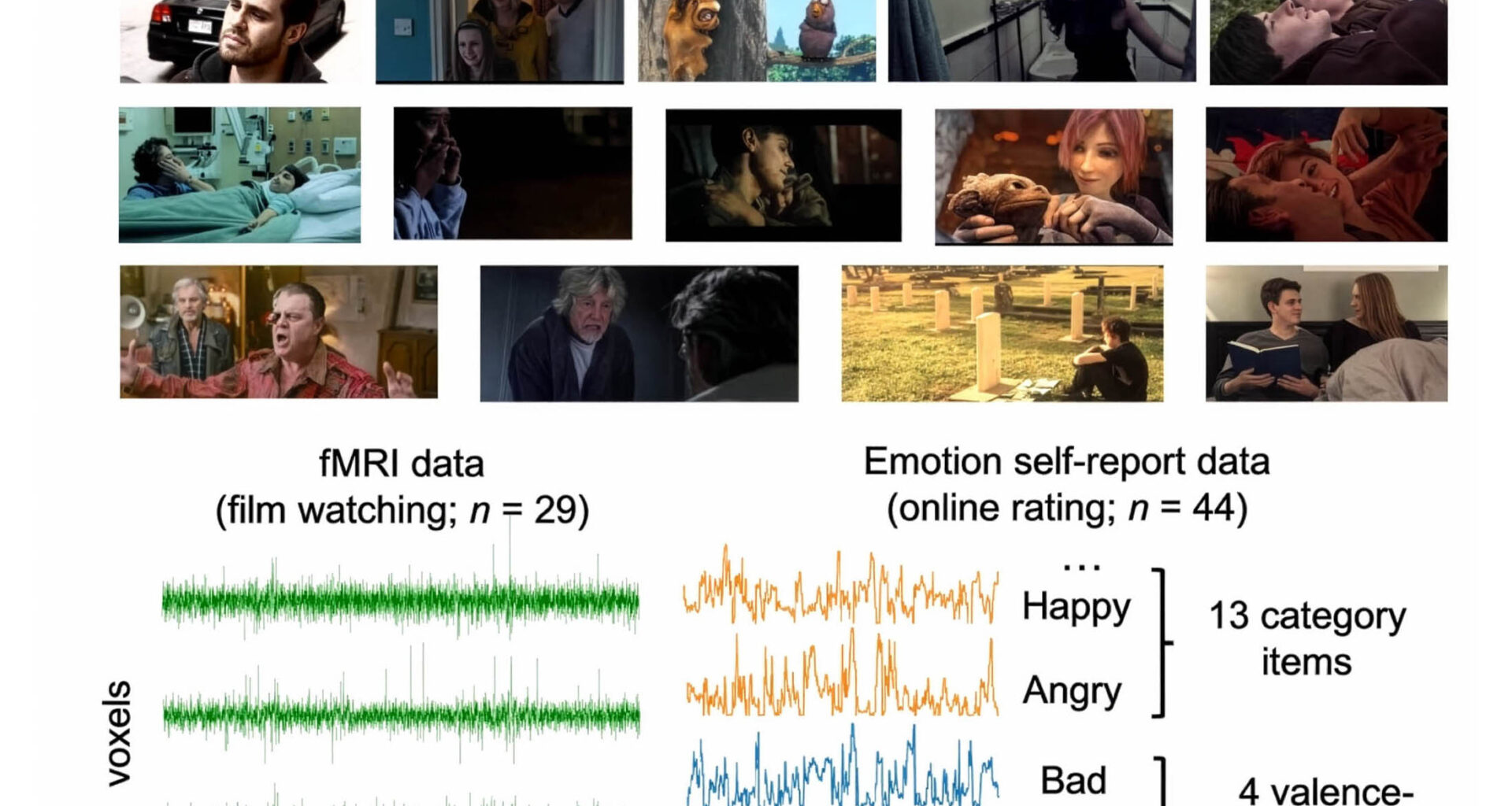 How the human brain charts emotion and organizes feelings