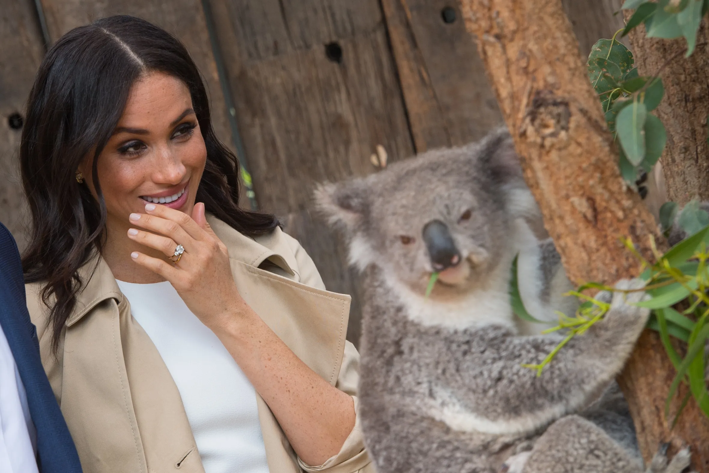Meghan Markle, Duchess of Sussex, smiles next to a koala bear eating eucalyptus leaves during a visit to Taronga Zoo in Sydney.
