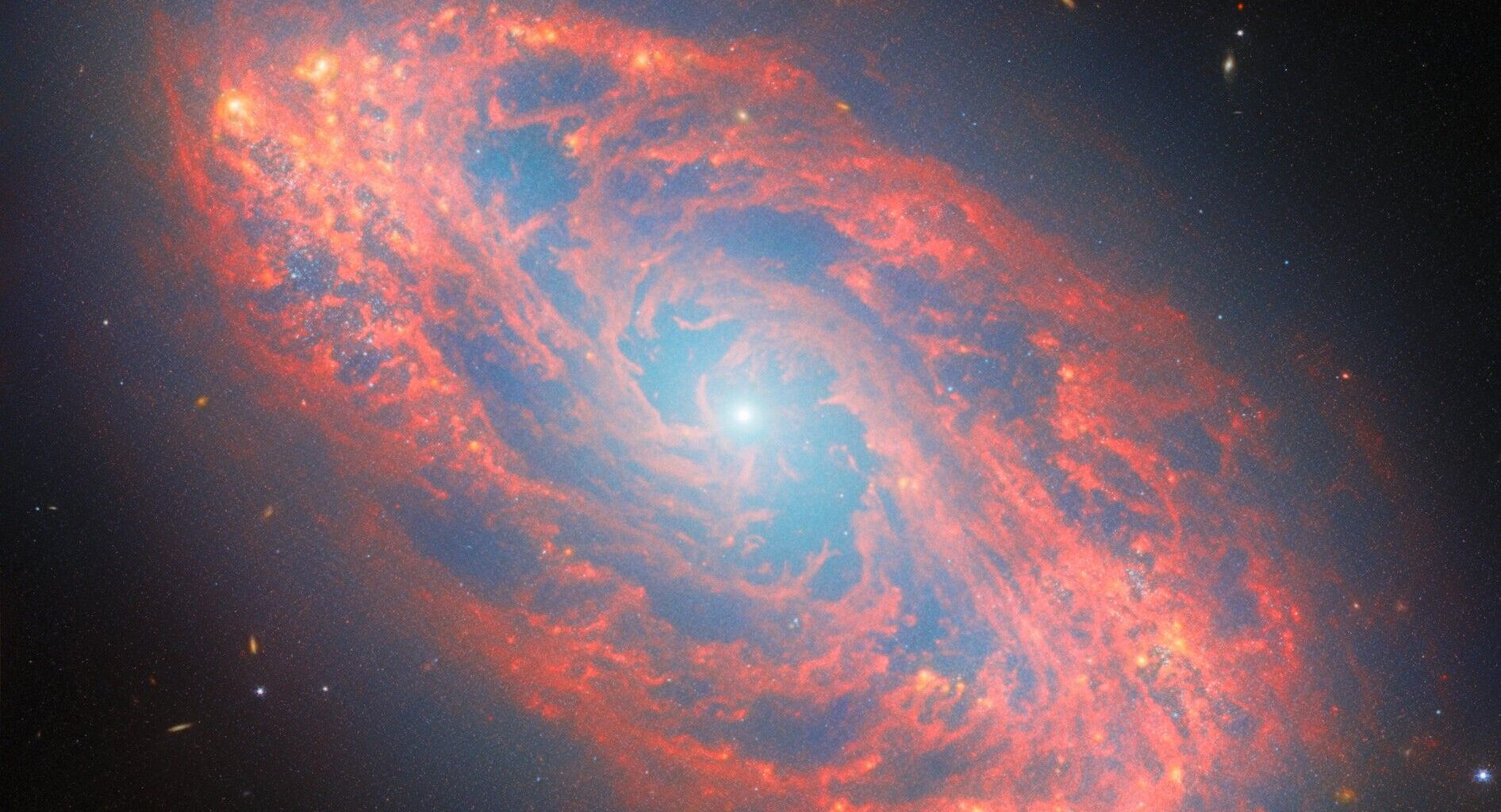 Spectacular spiral galaxy revealed by James Webb Space Telescope photo of the day for March 4, 2026