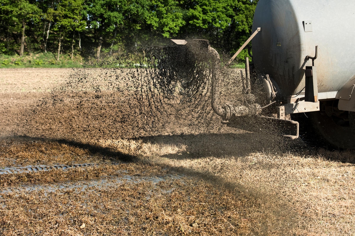 Liquid Manure Spreading in Northern Germany. © Michael Löwa / Greenpeace