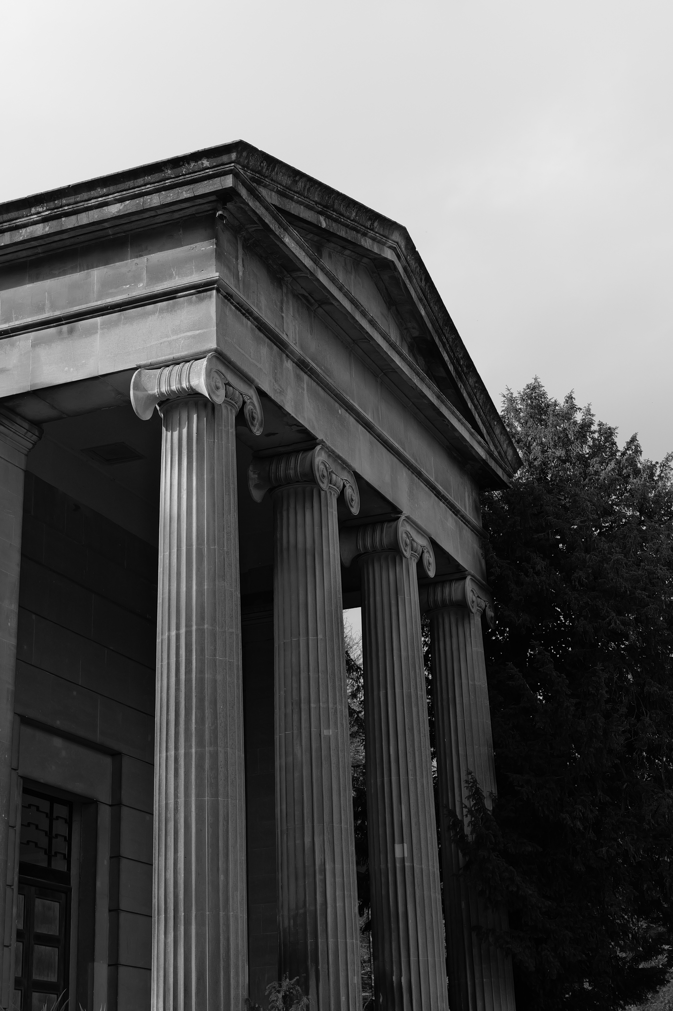 Leica Q3 Monochrom and Google Pixel 10 Pro XL comparison