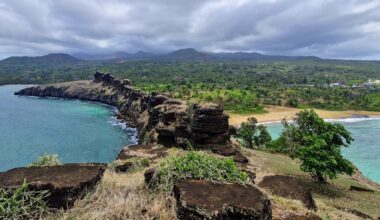 what’s behind this alarming trend