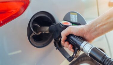 Oil price escalation could help China grasp more green global leadership