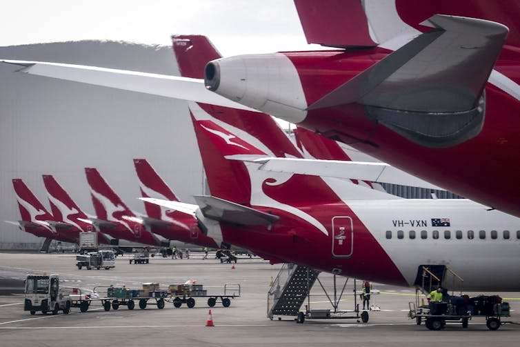 A line of Qantas planes displaying the distinctive kangaroo logo.
