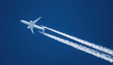 Airlines are facing yet more turbulence. An expert assesses what it will take to survive