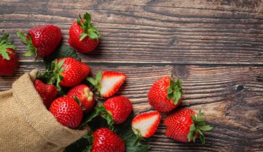 Essex strawberry-picking robot wins national award for industry collaboration
