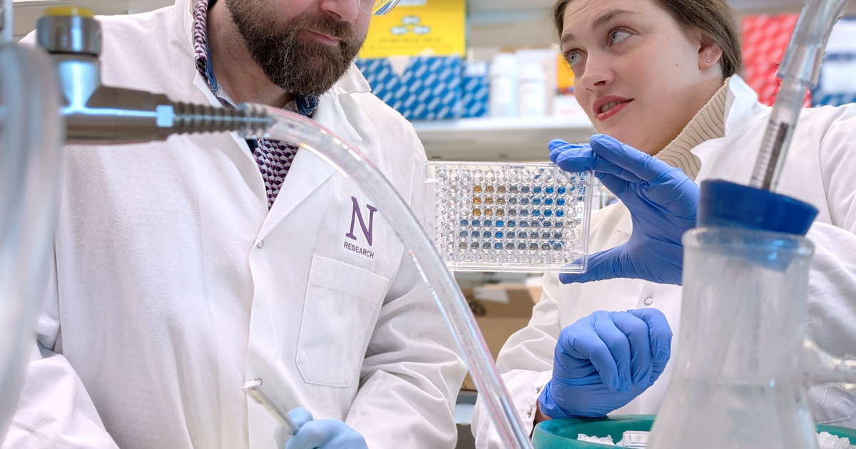 Brain tumors hijack sugar metabolism to evade immune attack