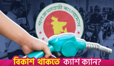 Bangladesh faces 'perfect storm': Extra $800m monthly energy cost, finds study