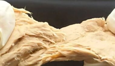 Gene-edited fungus from China is revolutionizing the food industry