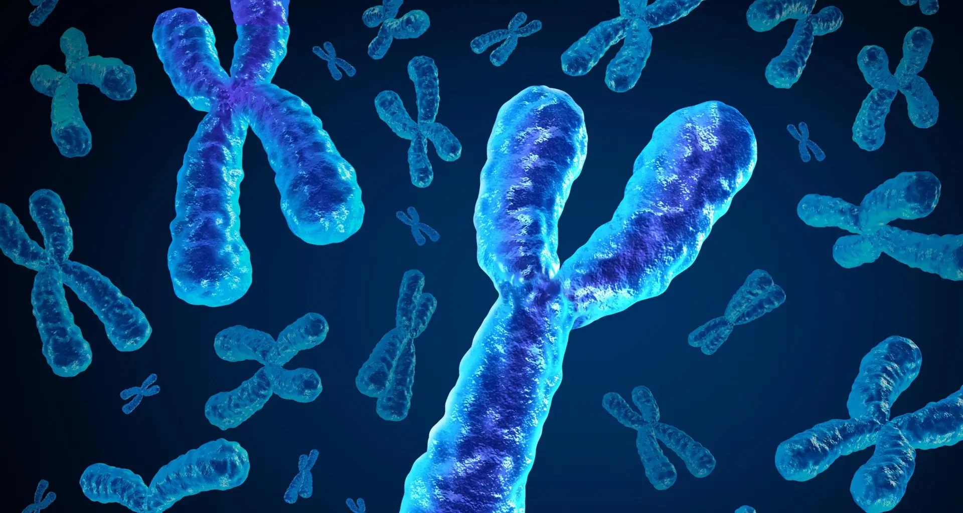 Men are losing a key chromosome with age and it may be deadly