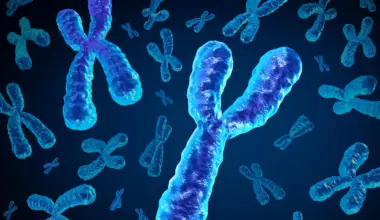 Men are losing a key chromosome with age and it may be deadly