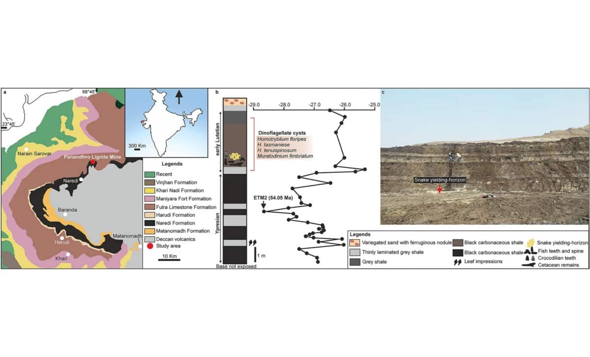Geological Map Of Kutch Basin Showing Fossil Locality