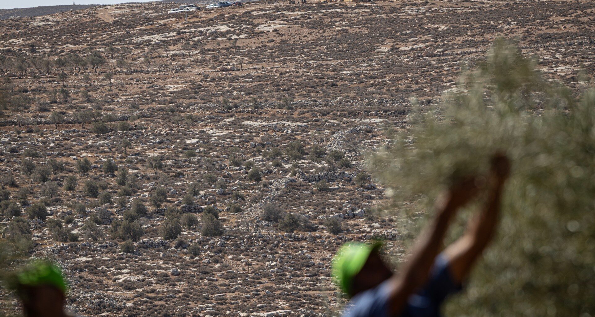 Israeli settlers shoot Palestinians in West Bank villages, steal livestock | Israel-Palestine conflict News