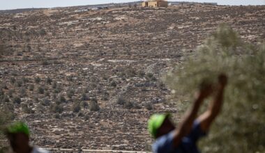 Israeli settlers shoot Palestinians in West Bank villages, steal livestock | Israel-Palestine conflict News