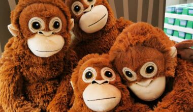Punch the monkey stole the internet’s heart. Now fans are sweeping up his IKEA plushie
