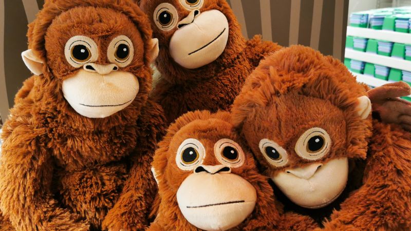 Punch the monkey stole the internet’s heart. Now fans are sweeping up his IKEA plushie