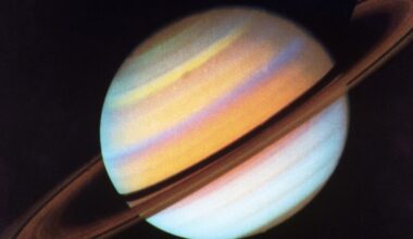 Look up tonight as six planets align in the night sky: How to see it