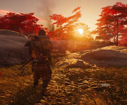 Golden hour in Ghost of Tsushima.