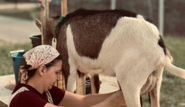 Health Benefits Of Goat Milk